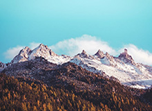 开云体育APP：把热爱装进掌心