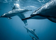 开云体育APP：把热爱装进掌心